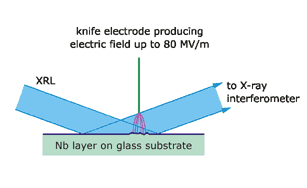 Interferometric probing of niobium surfaces subjected to strong electrical fields